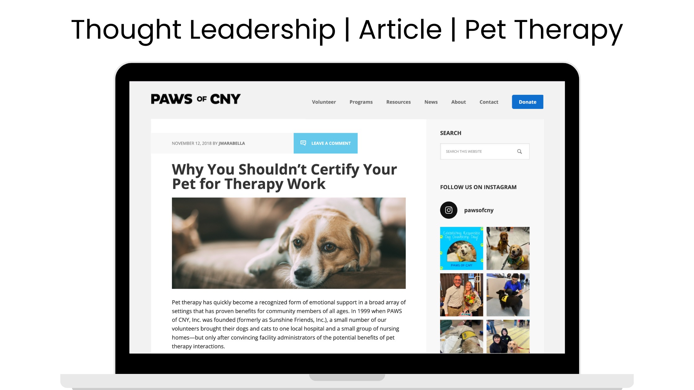 Why You Shouldn’t Pursue Pet Therapy