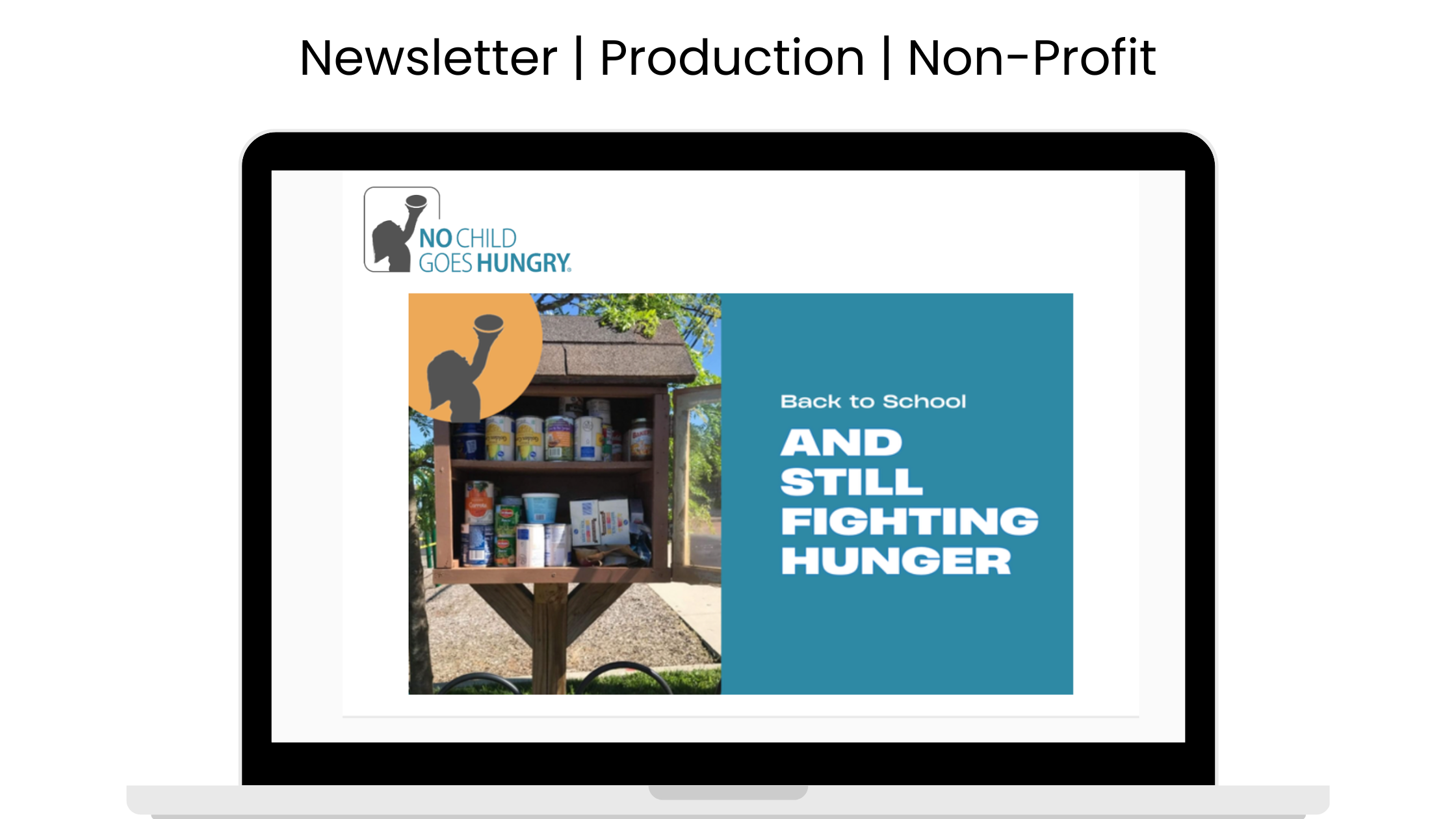 Non-Profit Email Newsletter